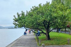 成都蓉城门将失误引发球迷热议，徐正源或考虑轮换安排