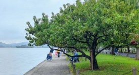 成都蓉城门将失误引发球迷热议，徐正源或考虑轮换安排